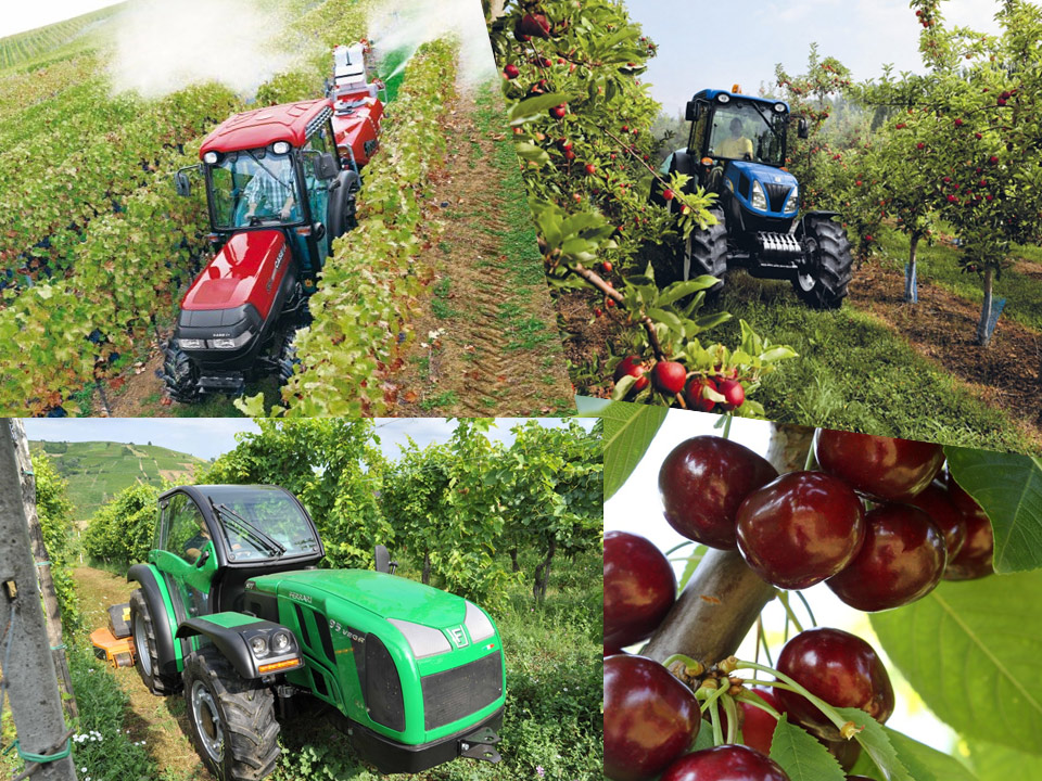 Experts toutes cultures